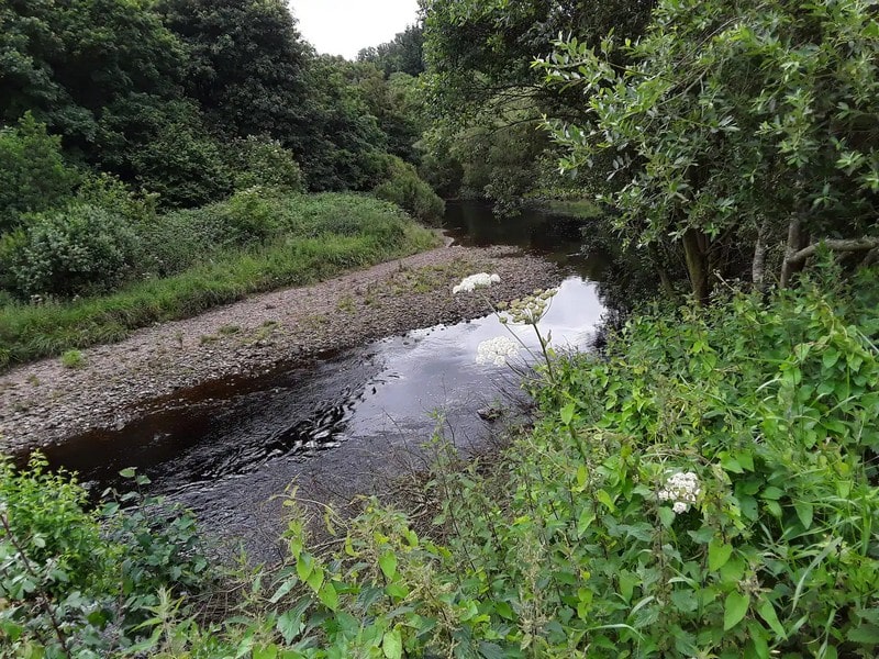 Nestled right beside the River Irthing - great for nature watching and energetic dogs! You can go fishing here ( permits available by the day or week from the local Post Office) You can even go "Wild swimming " like me -- very refreshing!